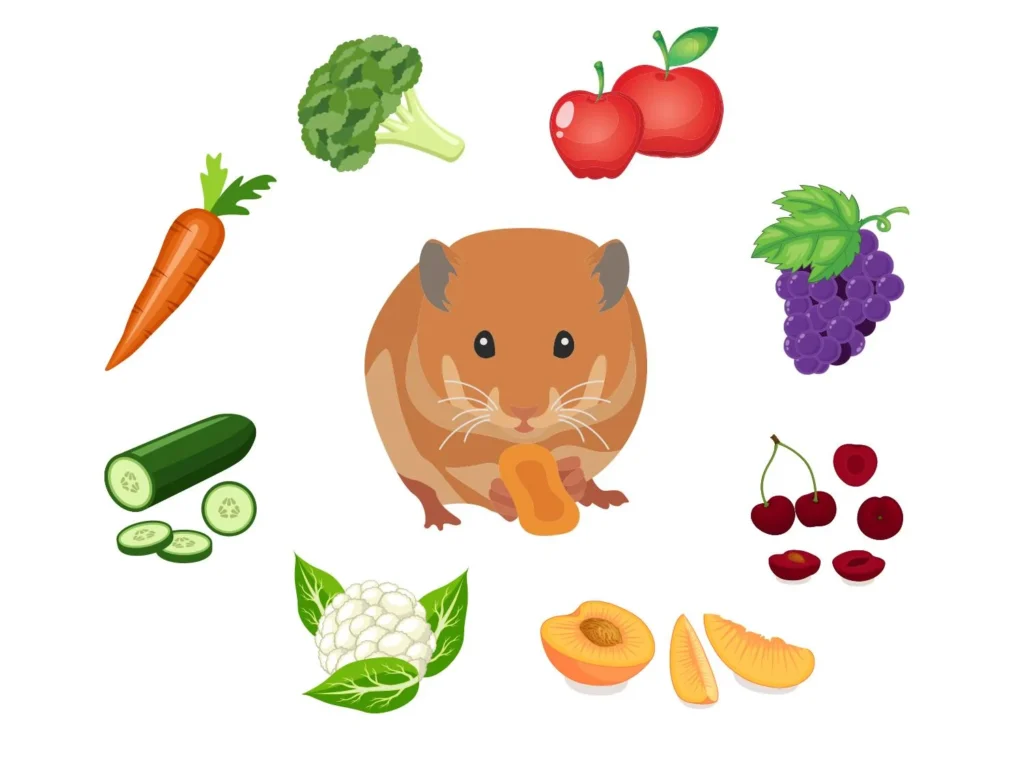 safe fruits and vegetables for hamsters chart