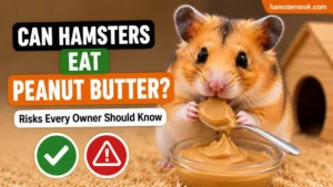 Hamster near peanut butter showing safe feeding risks for small pets