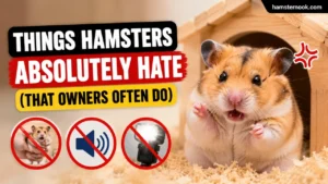 Hamster looking stressed inside a small cage with loud environment
