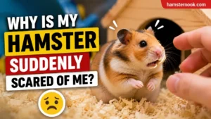 Scared hamster hiding from owner's hand inside cage