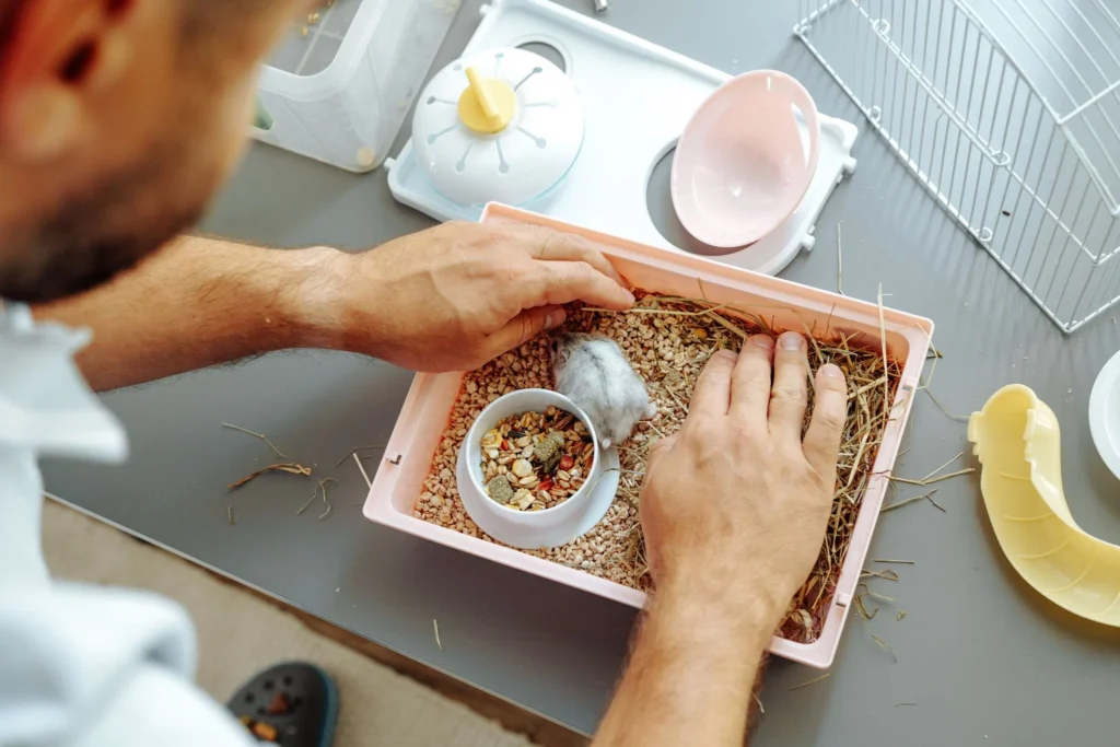Person cleaning a hamster cage safely during routine maintenance