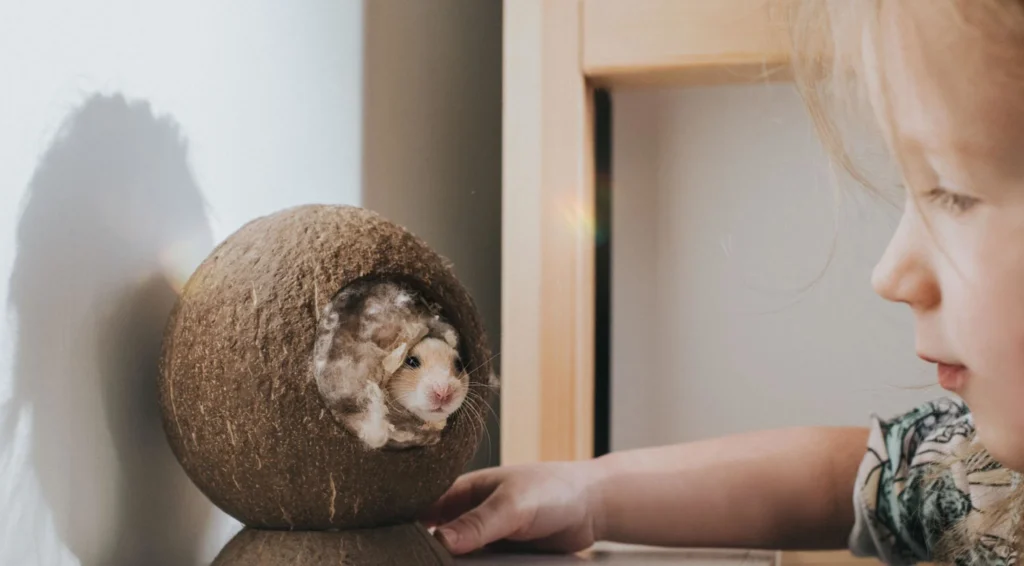 Hamster relaxing calmly near its owner in a hideout