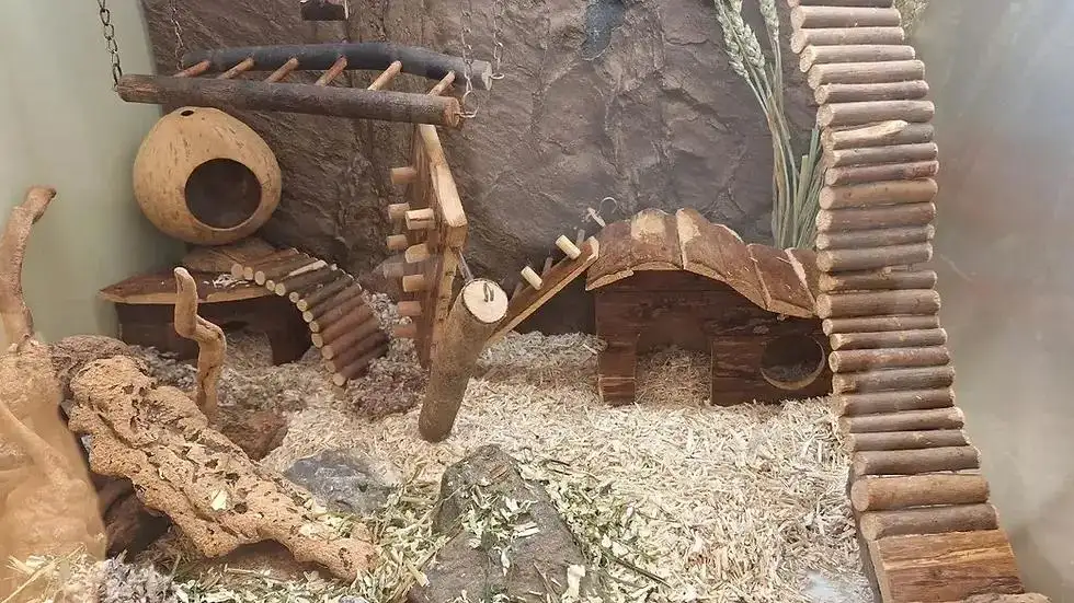 Natural hamster cage layout with tunnels hides and enrichment