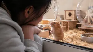 Pet hamster calmly sitting on its owner's hand during a quiet bonding moment