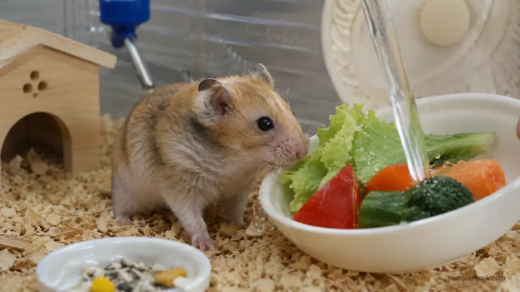 Hamster beside freshly washed vegetables prepared for feeding