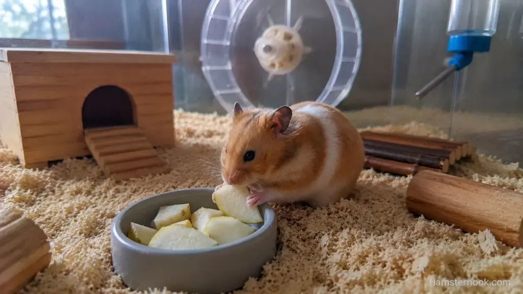 Can Hamsters Eat Pears? Safe Portions, Seeds & Feeding Tips